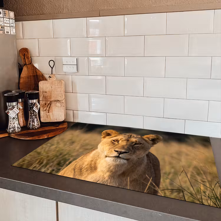 Leeuwin - Gras - Geel Inductie beschermer vinyl 3mm klein -sfeer3