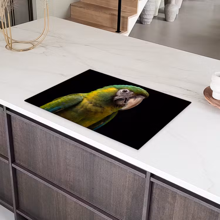 Ara - Portret - Groen Inductie beschermer vinyl 3mm klein -sfeer8