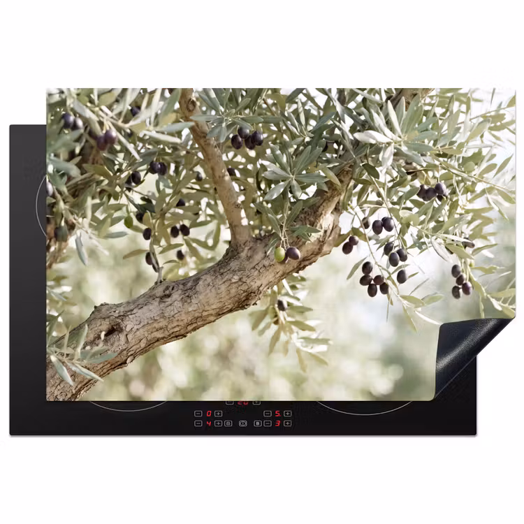 Induction Hob Cover - Olive tree - branch - green - Olijfboom - tak - groen Inductie beschermer vinyl 3mm klein