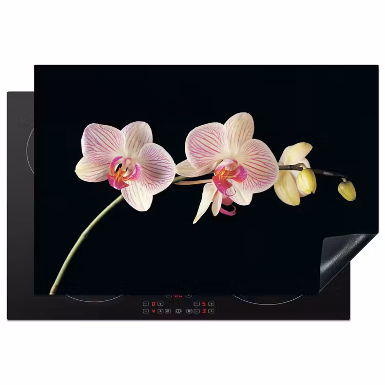 Orchidee - Bloemen - Zwart - Roze - Knoppen Inductie beschermer vinyl 3mm klein -3d