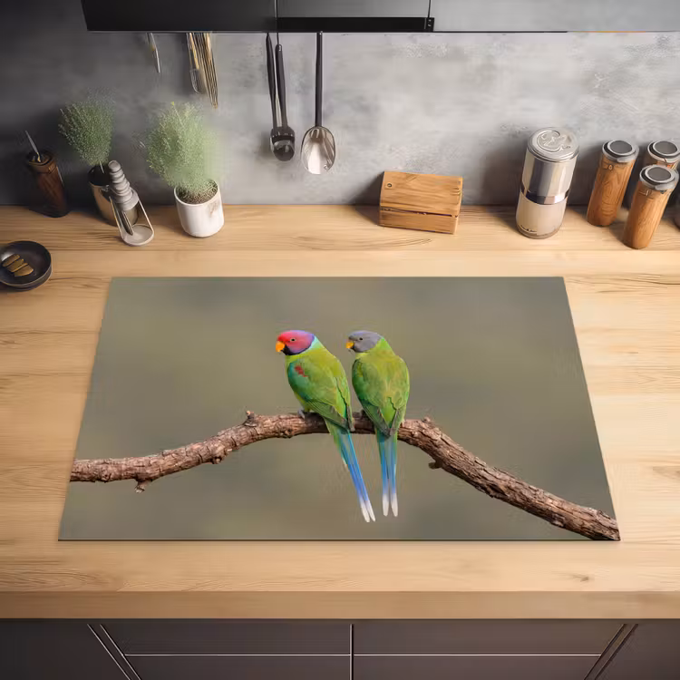 Papagaai - Tak - Natuur - Kleurrijk Inductie beschermer vinyl 3mm klein -sfeer5