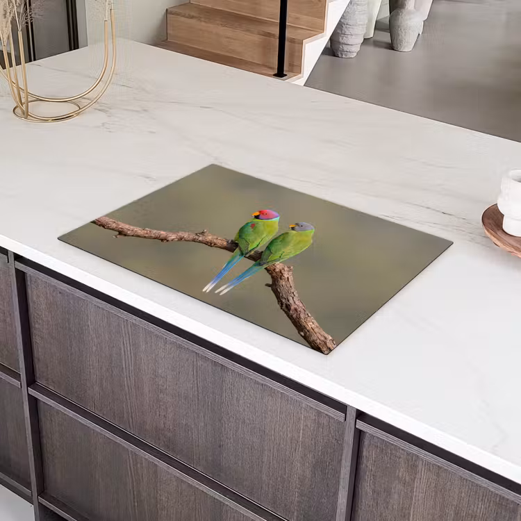 Papagaai - Tak - Natuur - Kleurrijk Inductie beschermer vinyl 3mm klein -sfeer8