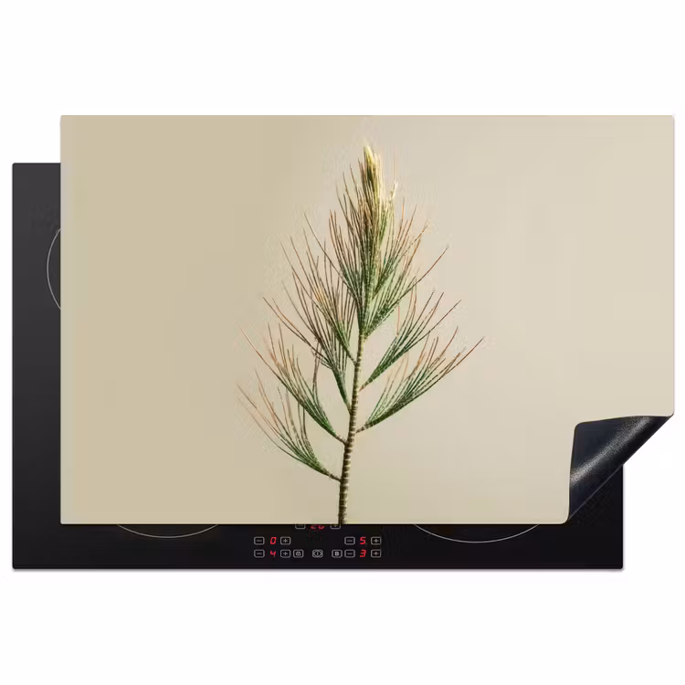 Dennentak - Naaldvormige bladeren - Lichtgroen Inductie beschermer vinyl 3mm klein -3d
