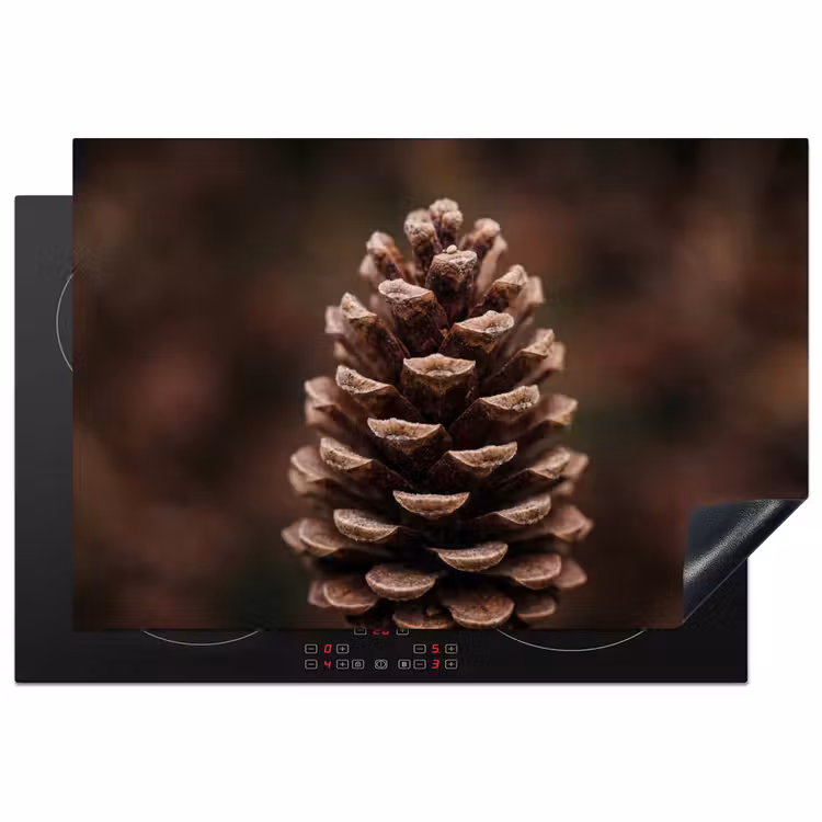 Dennenappel - Bos - Herfst - Bruin - Sfeervol Inductie beschermer vinyl 3mm klein -3d