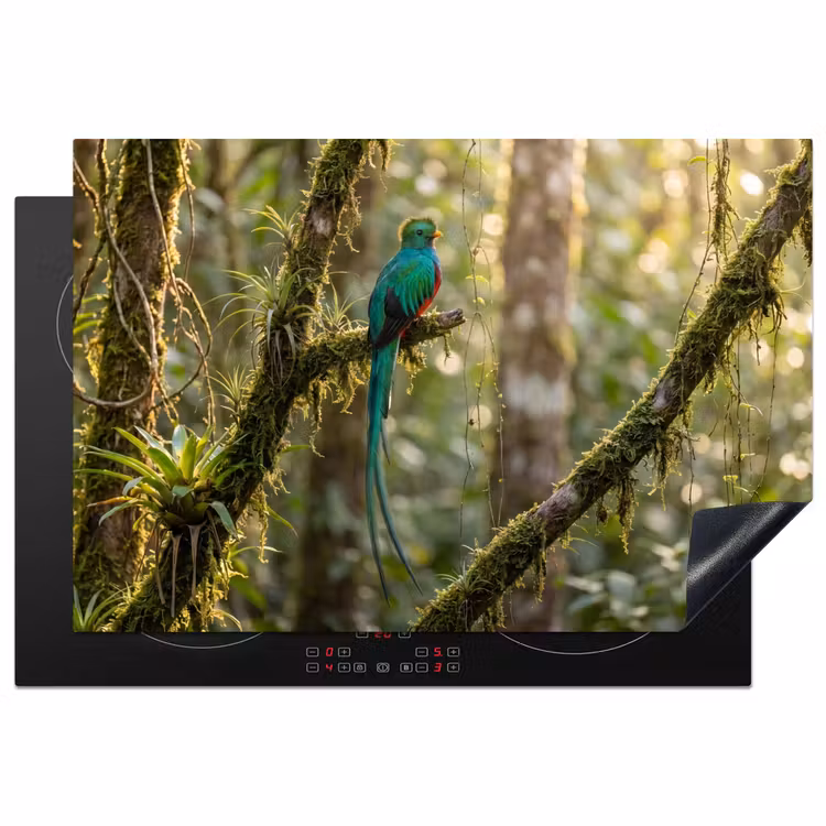 Quetzal - Jungle - Natuur - Groen Inductie beschermer vinyl 3mm klein -3d
