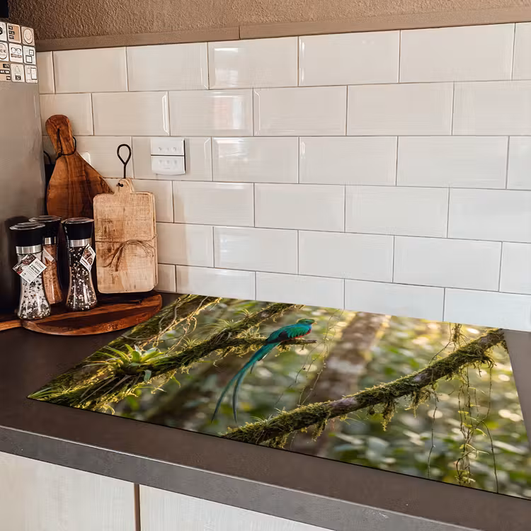 Quetzal - Jungle - Natuur - Groen Inductie beschermer vinyl 3mm klein -sfeer3