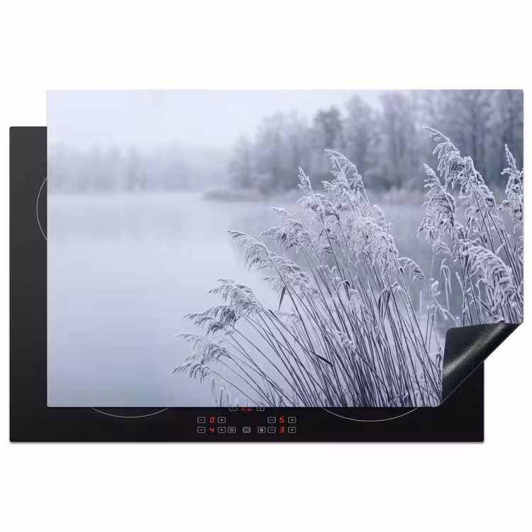 Riet - Bevroren - Winter - Natuur Inductie beschermer vinyl 3mm klein -3d