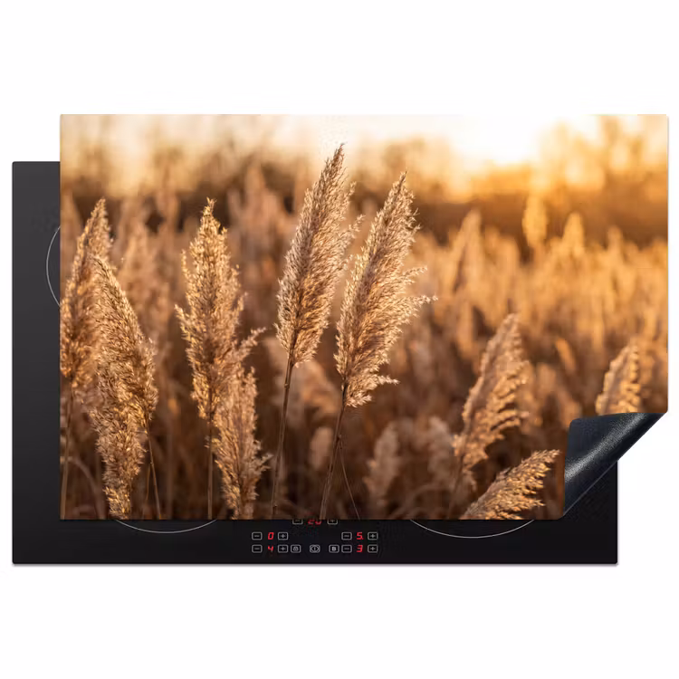 Rietpluimen - Gras - Zonsondergang - Goud - Serene Inductie beschermer vinyl 3mm klein -3d