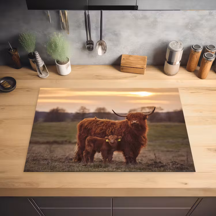Schotse hooglander - Dieren - Landschap - Zonsondergang - Koe Inductie beschermer vinyl 3mm middel -sfeer5