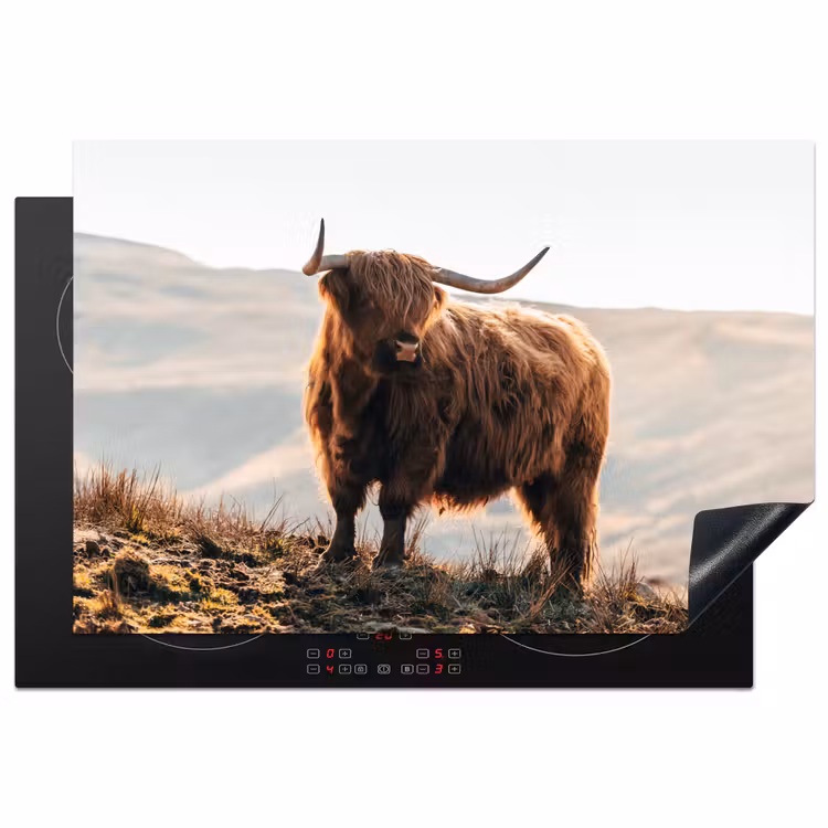Schotse hooglander - Dieren - Landelijk - Landschap - Koe - Natuur Inductie beschermer vinyl 3mm klein -3d