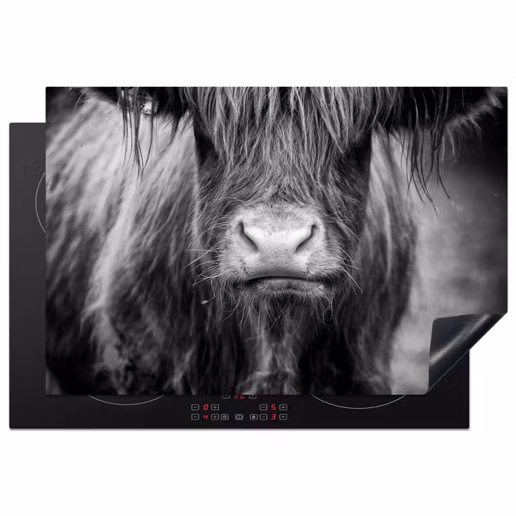 Schotse hooglander - Koe - Zwart - Wit - Dieren Inductie beschermer vinyl 3mm klein -3d