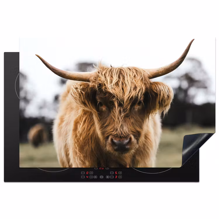 Schotse Hooglander -  Koe - Gras - Dieren - Natuur Inductie beschermer vinyl 3mm klein -3d