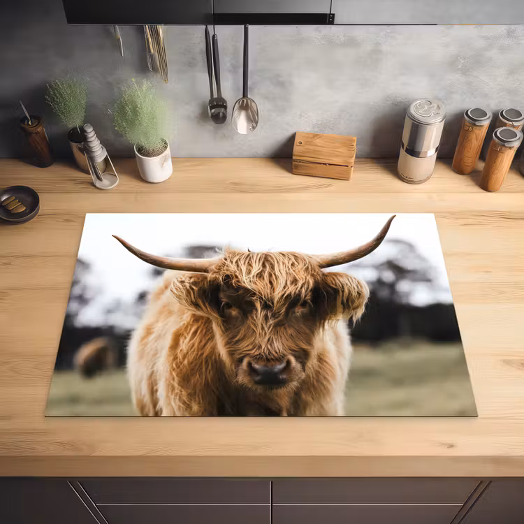 Schotse Hooglander -  Koe - Gras - Dieren - Natuur Inductie beschermer vinyl 3mm klein -sfeer5