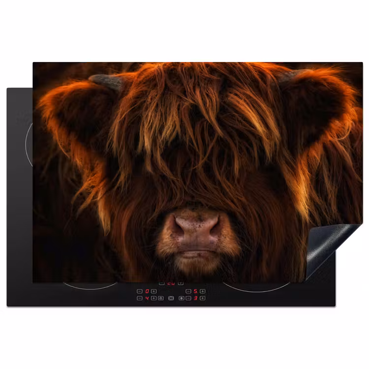 Schotse Hooglander - Koe - Portret - Dieren Inductie beschermer vinyl 3mm klein -3d