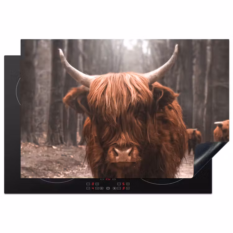 Schotse hooglander - Bos - Koe - Dieren - Natuur Inductie beschermer vinyl 3mm klein -3d