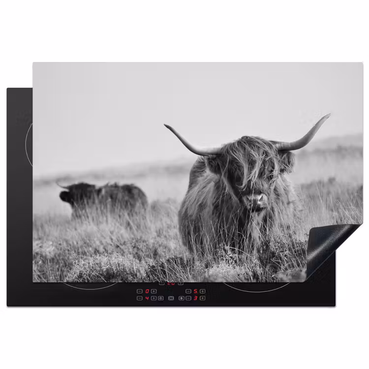 Schotse Hooglander in Monochroom Inductie beschermer vinyl 3mm klein -3d