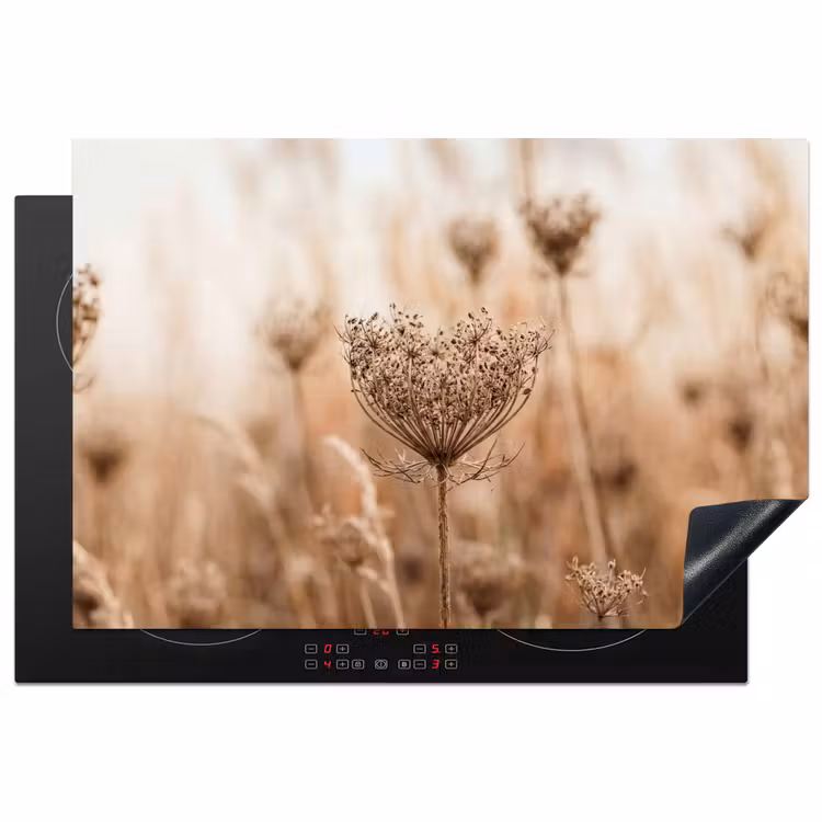 Schermbloem - Droogbloem - Winter - Beige - Minimalistisch Inductie beschermer vinyl 3mm klein -3d