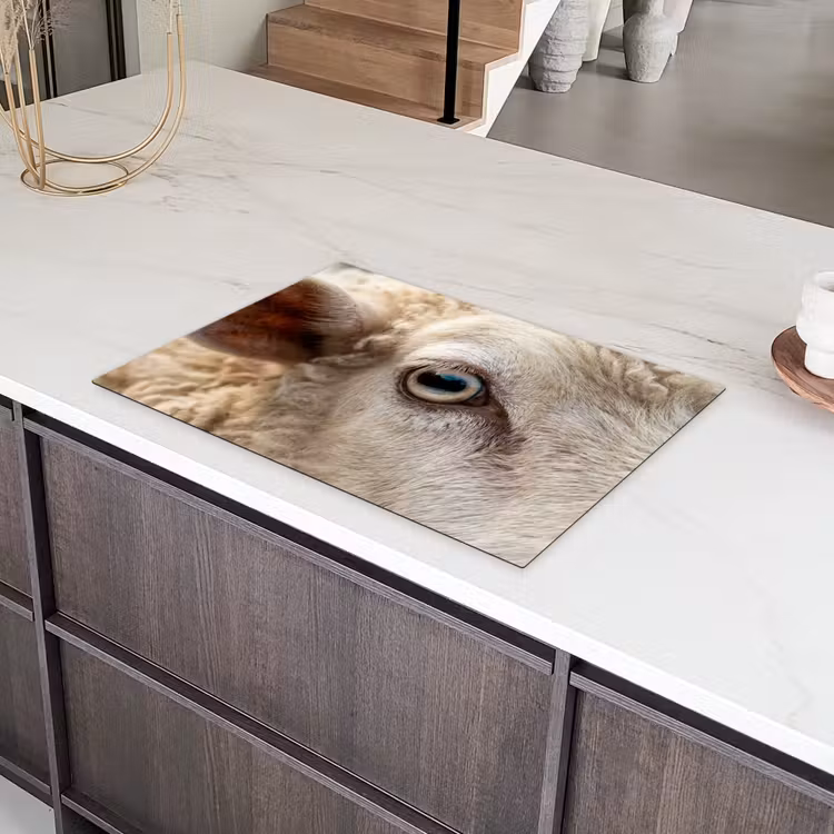 Schaap - Oog - Wit Inductie beschermer vinyl 3mm klein -sfeer8