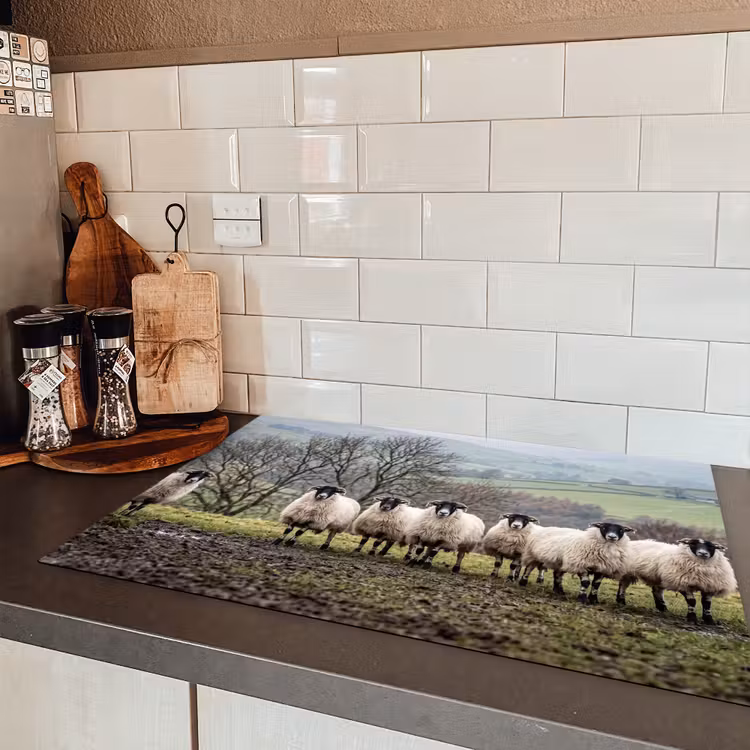 Schapen - Rij - Weide - Dieren - Platteland Inductie beschermer vinyl 3mm klein -sfeer3