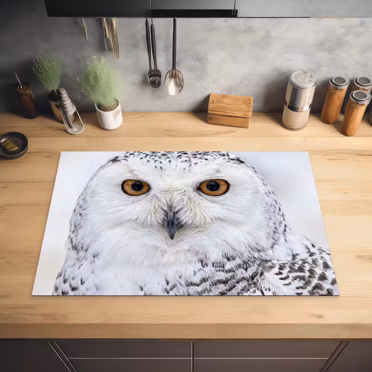 Sneeuwuil - Oog - Wildlife - Wit Inductie beschermer vinyl 3mm klein -sfeer5