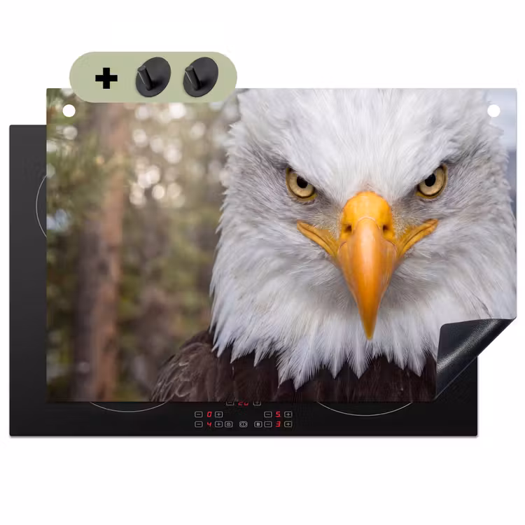 Amerikaans - Zeearend - Portret - Geel Inductie beschemer met haakjes klein -3d