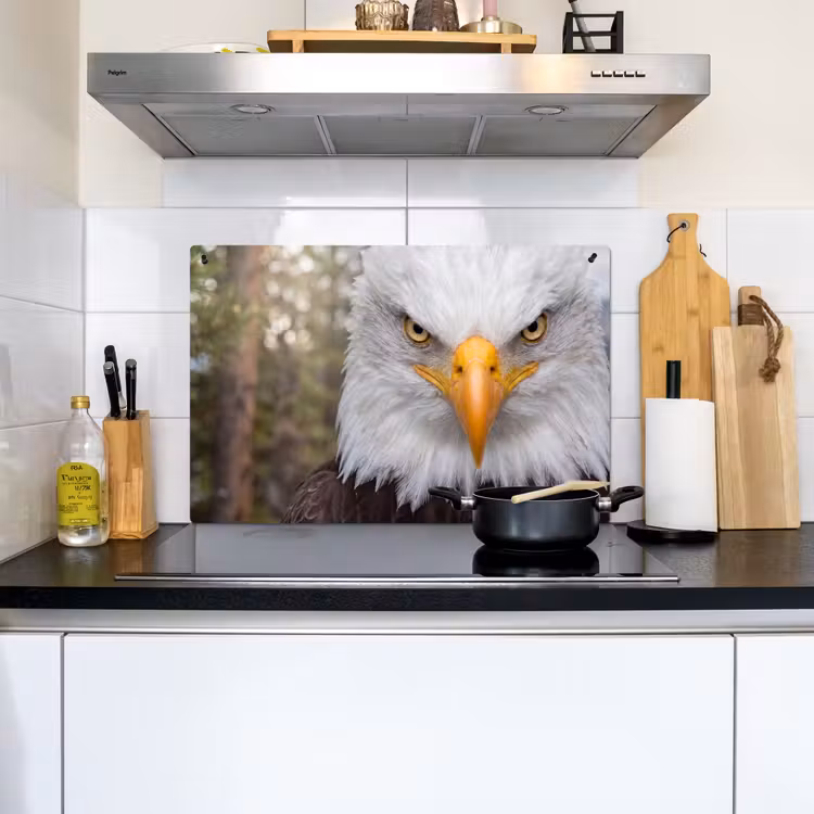 Amerikaans - Zeearend - Portret - Geel Inductie beschemer met haakjes klein -sfeer2