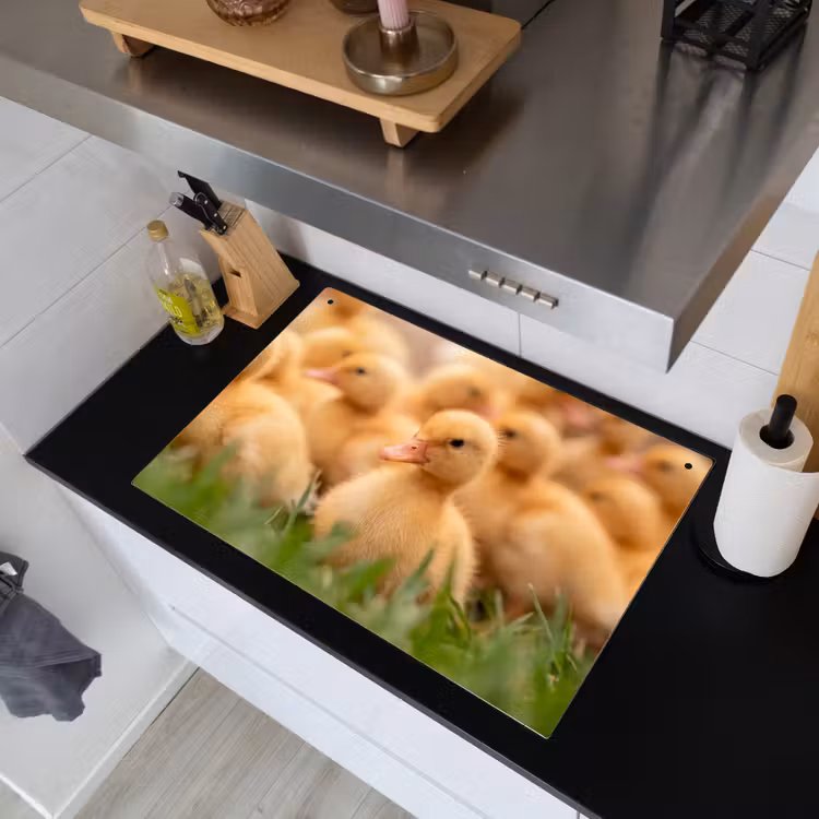 Pijltje - Eend - Natuur - Geel Inductie beschemer met haakjes klein -sfeer1