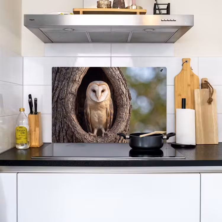 Kerkuil - Boom - Natuur - Bruin Inductie beschemer met haakjes klein -sfeer2