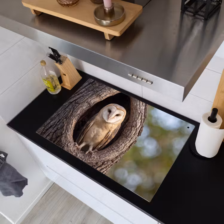 Kerkuil - Boom - Natuur - Bruin Inductie beschemer met haakjes klein -sfeer1