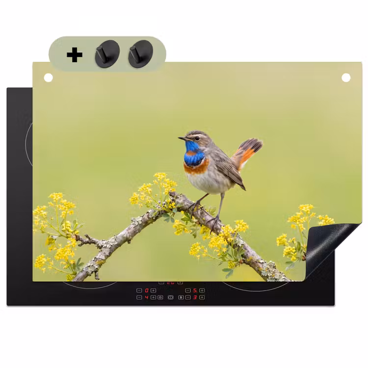 Vogel - Tak - Natuur - Kleurrijk Inductie beschemer met haakjes klein -3d