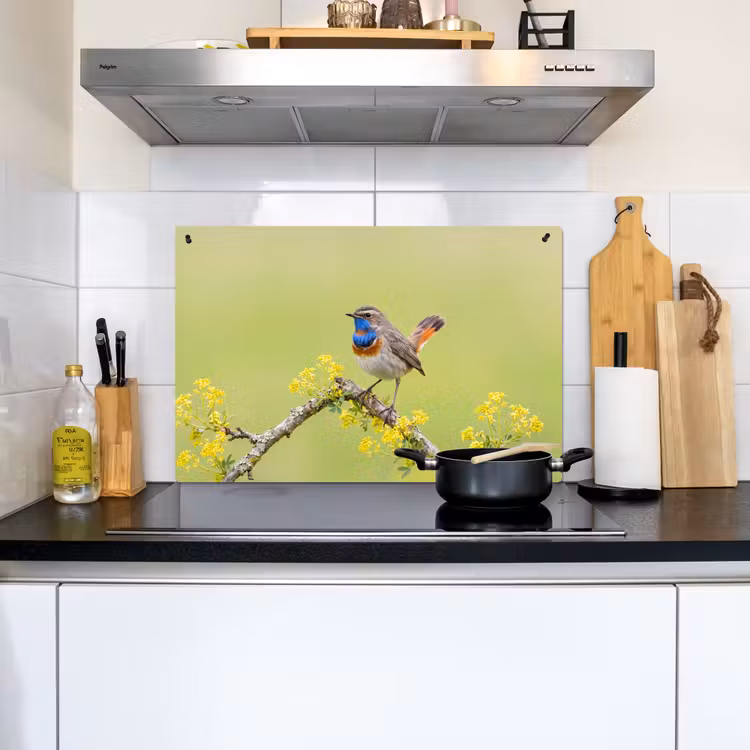 Vogel - Tak - Natuur - Kleurrijk Inductie beschemer met haakjes klein -sfeer2