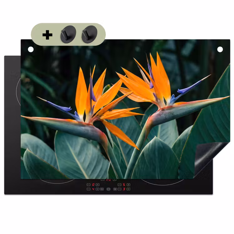 Paradijsvogel - Bloem - Exotisch Inductie beschemer met haakjes klein -3d