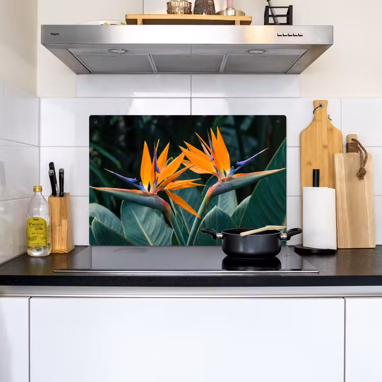 Paradijsvogel - Bloem - Exotisch Inductie beschemer met haakjes klein -sfeer2