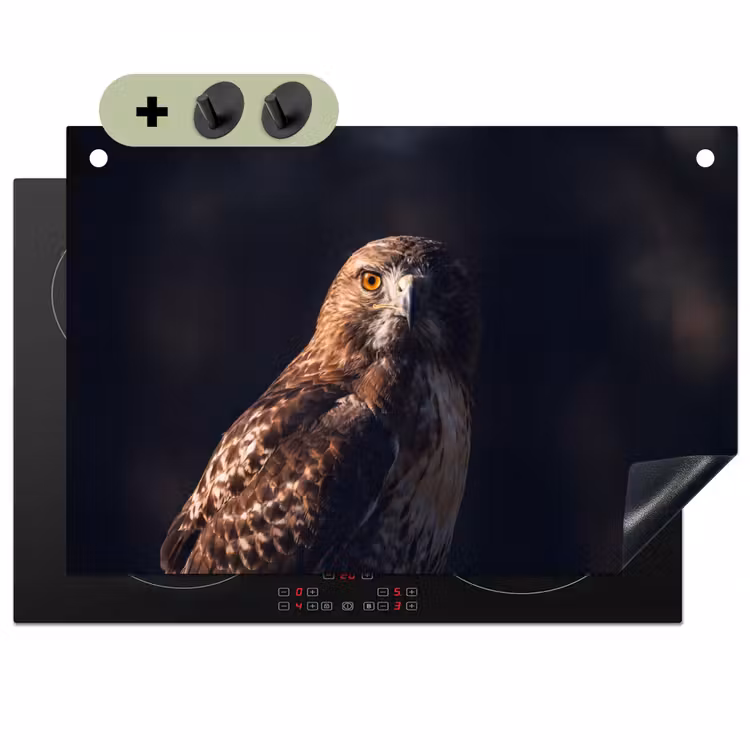 Roofvogel - Buizerd - Bruin Inductie beschemer met haakjes klein -3d