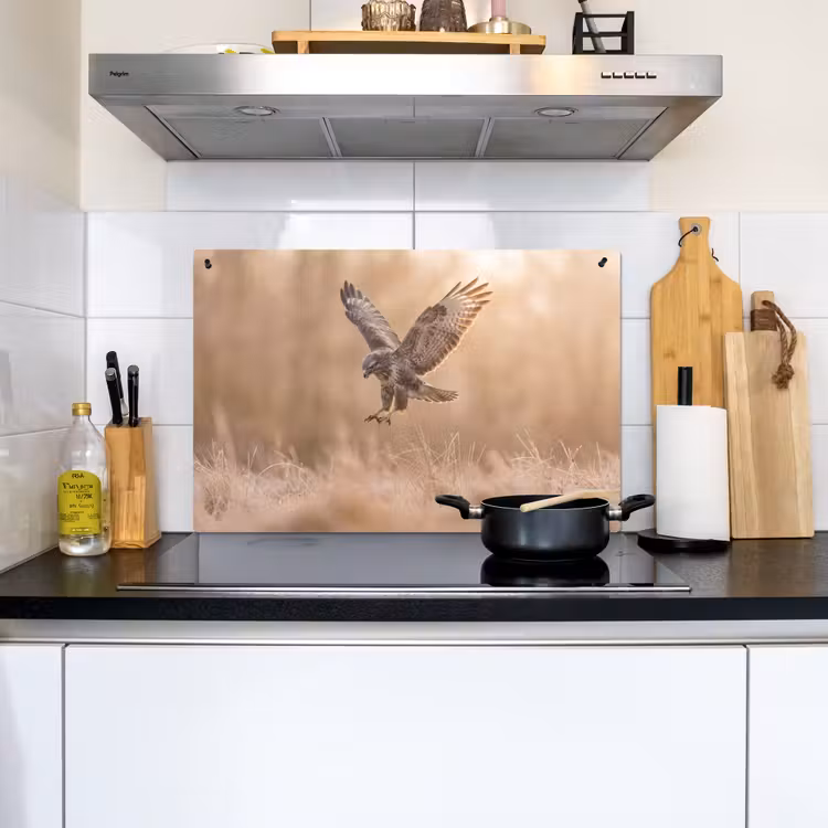 Buizerd - Roofvogel - Natuur - Bruin Inductie beschemer met haakjes klein -sfeer2