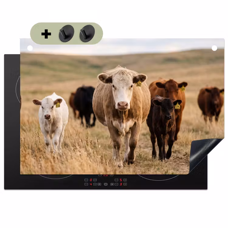 Runderen - Kudde - Landschap - Weide - Rustig Inductie beschemer met haakjes klein -3d