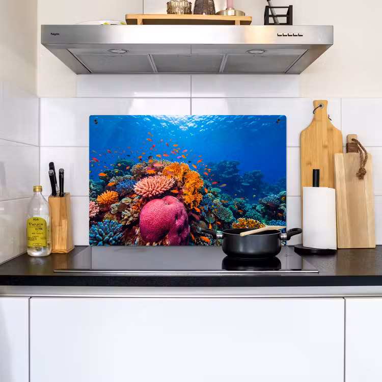 Koraal - Vissen - Oceaan - Natuur - Kleurrijk Inductie beschemer met haakjes klein -sfeer2