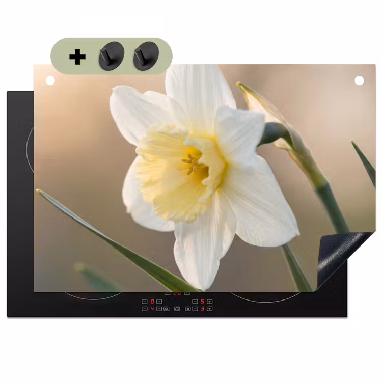 Narcis - Bloem - Minimalistisch Inductie beschemer met haakjes klein -3d
