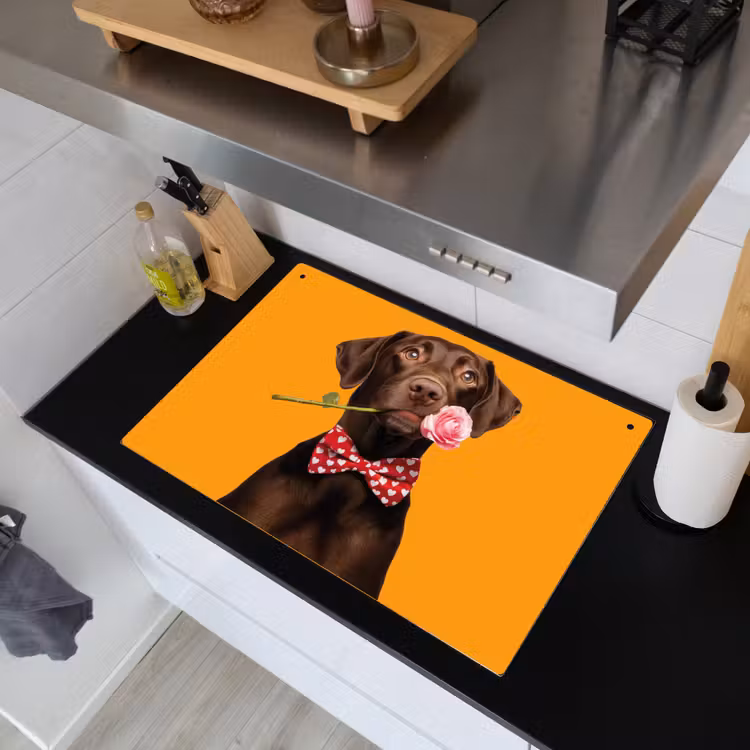 Hond - Oranje - Roos - Valentijn Inductie beschemer met haakjes klein -sfeer1