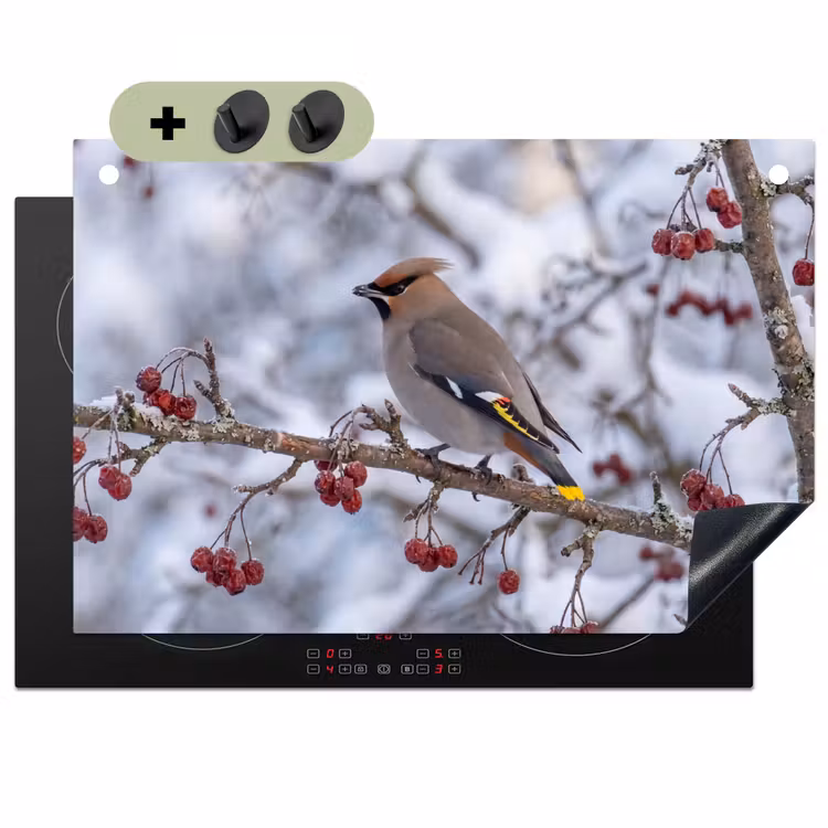 Pestvogel - Bessen - Winter - Natuur Inductie beschemer met haakjes klein -3d