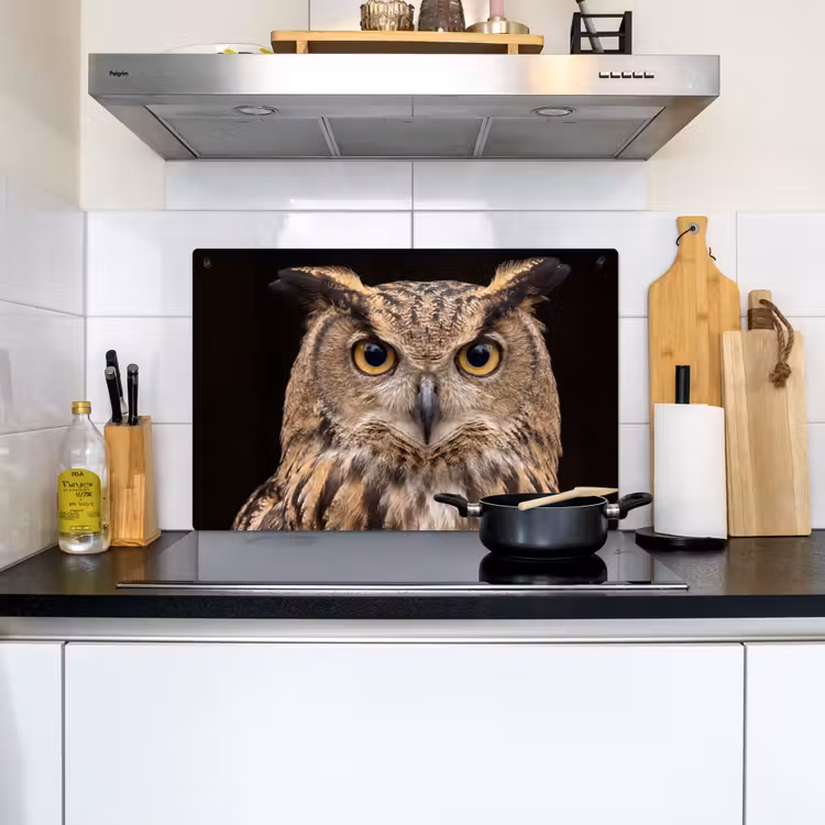 Oehoe - Uil - Portret - Bruin Inductie beschemer met haakjes klein -sfeer2