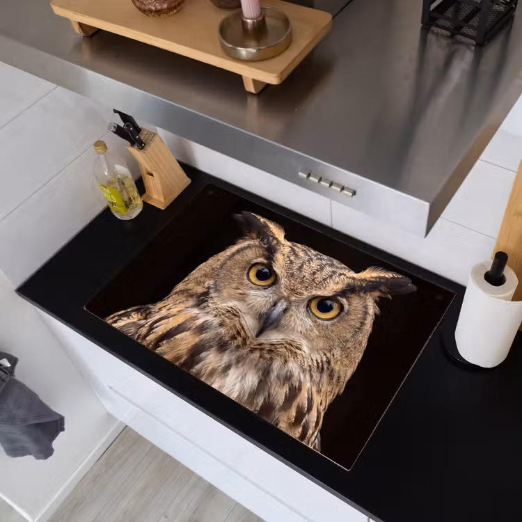 Oehoe - Uil - Portret - Bruin Inductie beschemer met haakjes klein -sfeer1