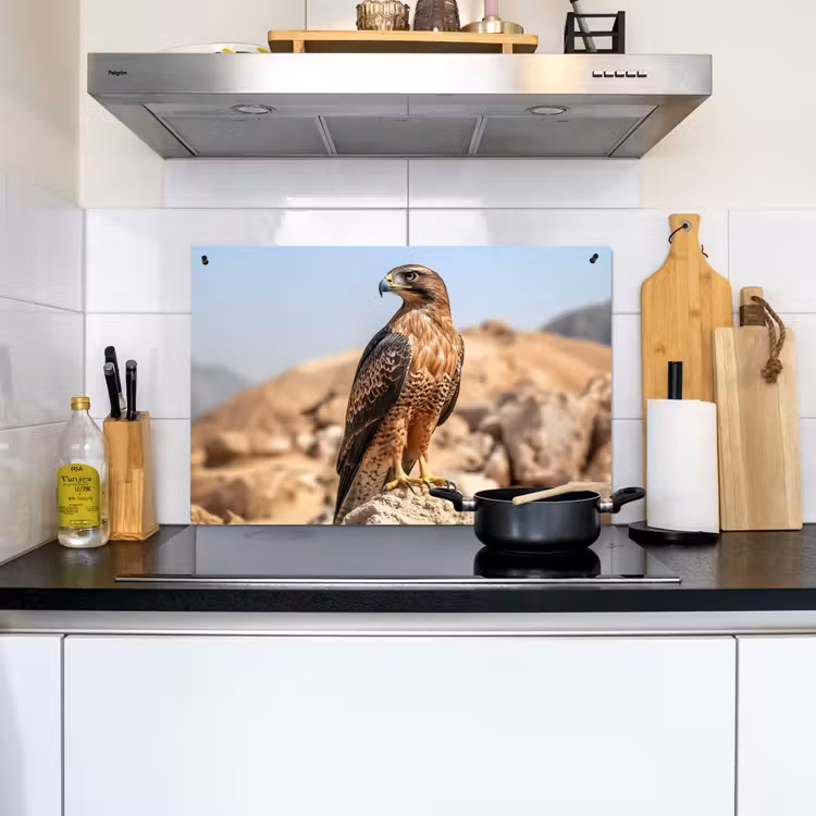 Valk - Vogel - Rots - Macht Inductie beschemer met haakjes klein -sfeer2