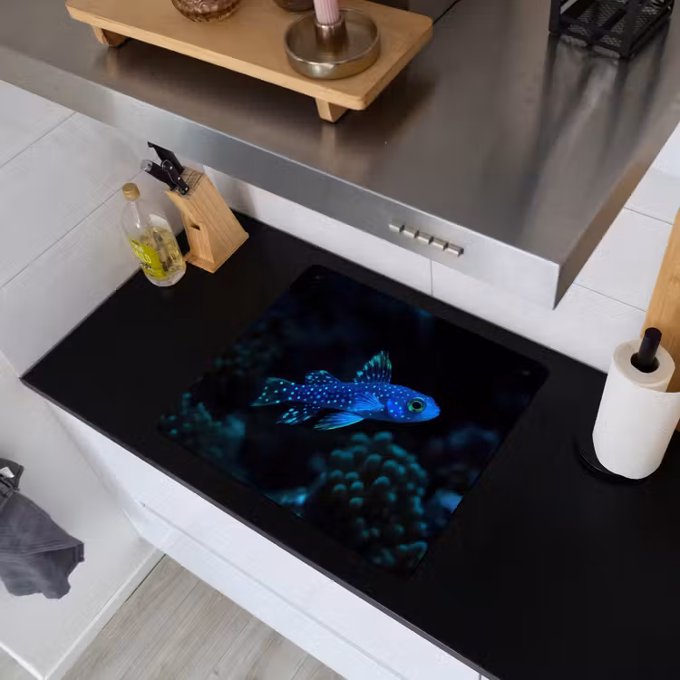 Vis - Stippen - Koraal - Blauw Inductie beschemer met haakjes middel -sfeer1
