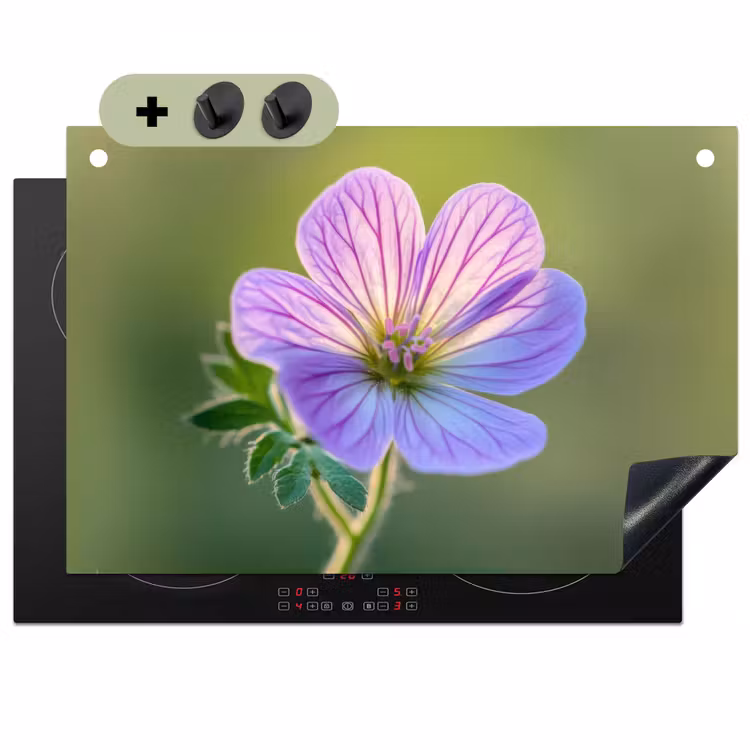 Bloem - Close up - Paars Inductie beschemer met haakjes klein -3d