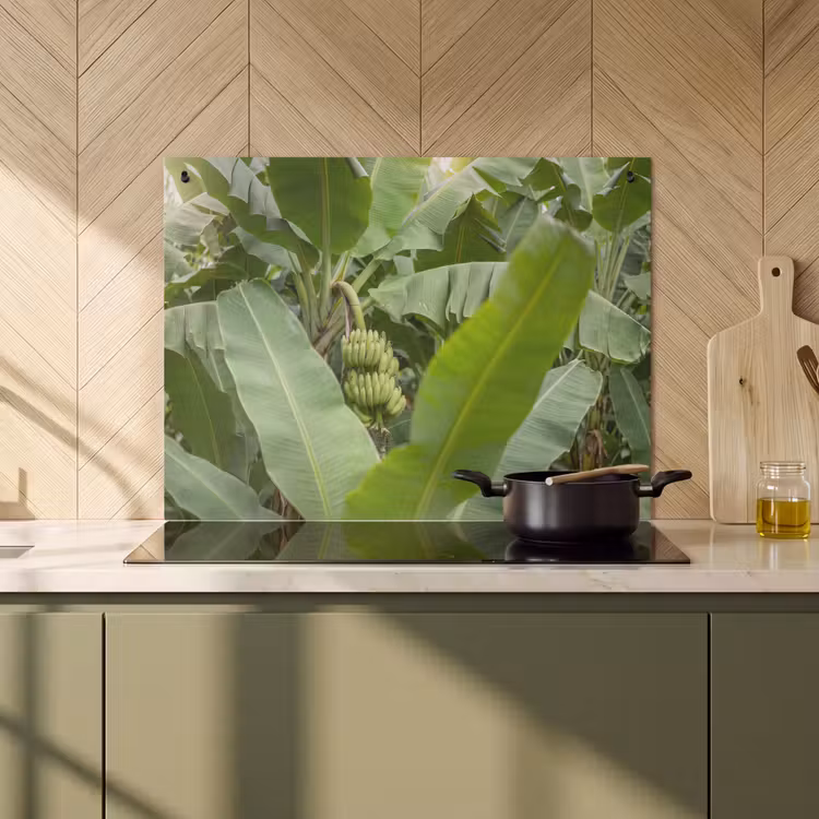 Eten - Bananen - Plantage - Groen Inductie beschemer met haakjes klein -sfeer2