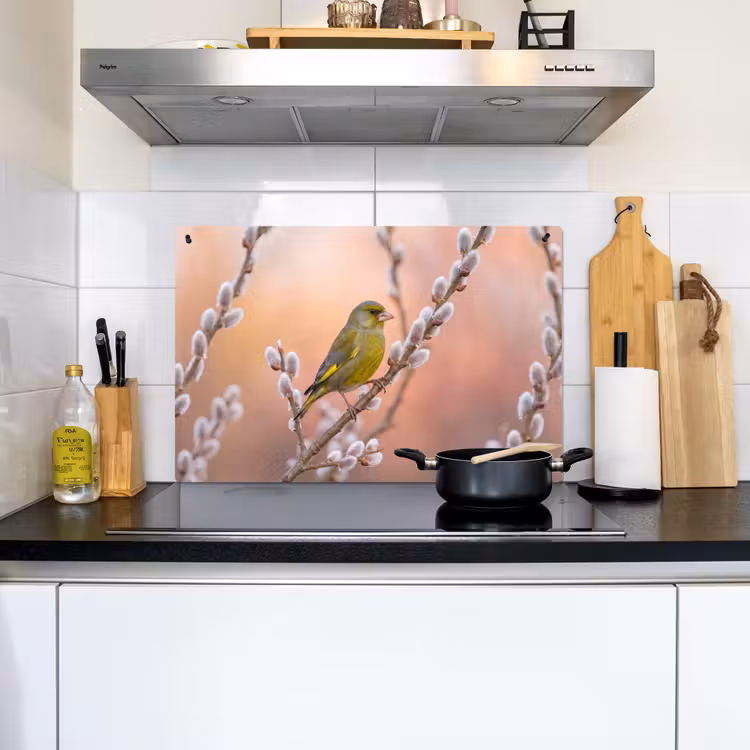 Groenling - Katjes - Lente - Natuur - Zacht Inductie beschemer met haakjes klein -sfeer2