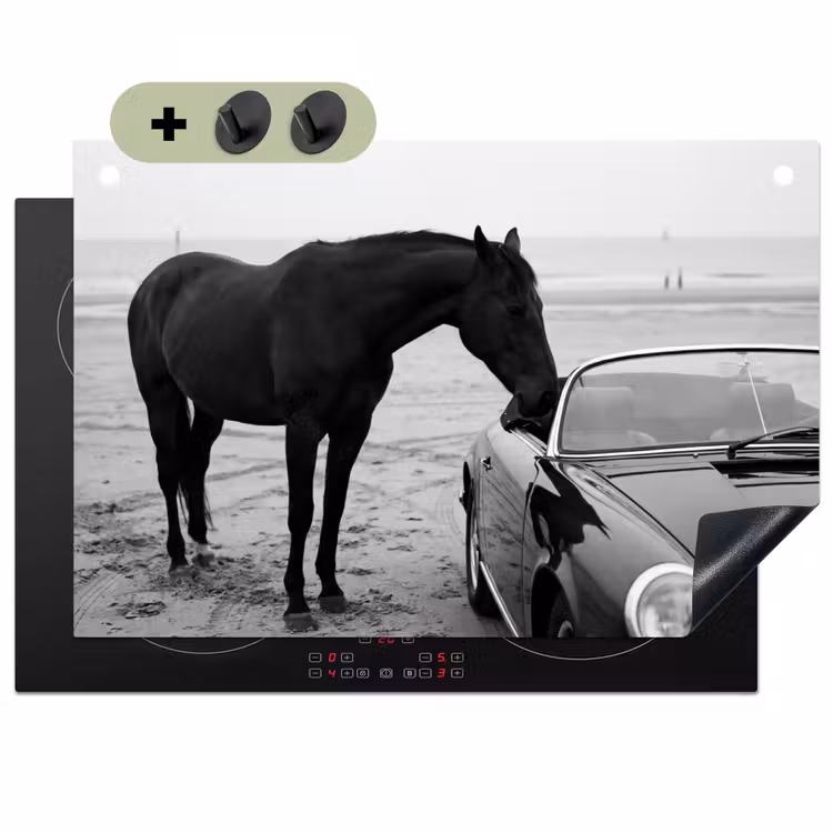 Paard - Auto - Zwart - Wit Inductie beschemer met haakjes klein -3d