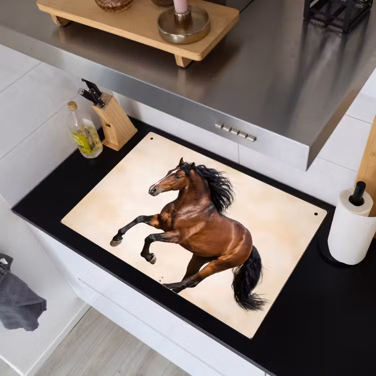 Paard - Galop - Energie Inductie beschemer met haakjes klein -sfeer1