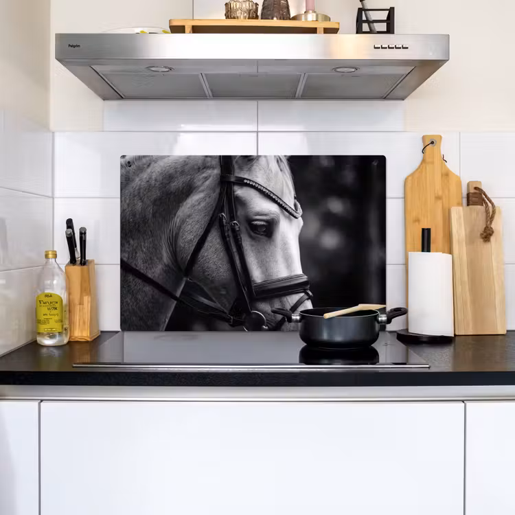 Paard - Schimmel - Portret Inductie beschemer met haakjes klein -sfeer2